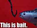 this_is_bait