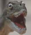 rex
