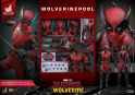 Hot-Toys-Wolverinepool-021.jpg