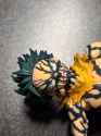 216 KB