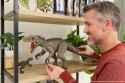 3.56 MB