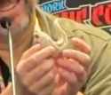 Rule 34 Rule 34 Image