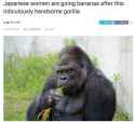 most handsome gorilla