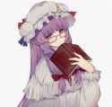 __patchouli_knowledge_touhou_drawn_by_yuishironeko__7d684ab322b97d862498e8cd7de8870c