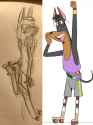 sketch and reference Doberman
