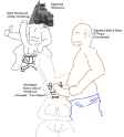 Role Reversal