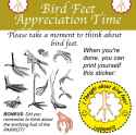 thinking about bird feet