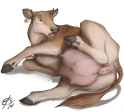 3118123_Lizet_cowtf