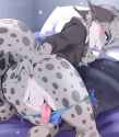 bc958974be5ff19287b9f8a019e08ab9