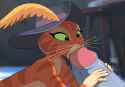 puss1689165174606