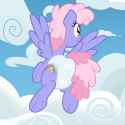 1692319479.nitei_casualflying