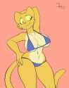 133292_-_artist_zokva_caturday_katia_managan_prequel