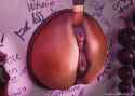 34a81f5342e30899697a8e5bdfe7009c