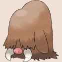 0221Piloswine