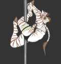 1747134303.mocha-wing_img_6275