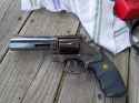 danwesson
