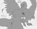 2955189-shredded_wheat-accipitrid-accipitriform-avian-bird-eagle