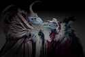 1669828957.onedismay_zokshod_kiss_2_30-11sai2_jpg_something_x1080