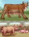 Neverfinished animal doodles