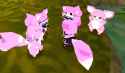 2025-05-14 18_58_08-ATLYSS