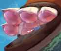 GlAGdqSbQAIANh6
