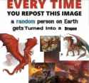 every time you repost this image turned transform tf dragon