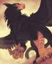 1616667365.igoo_birb-recovered