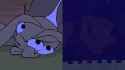 story2446