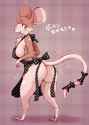 1505745064.melonleaf_apron_rat