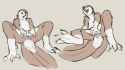 bdb6bc70bc08ebdb437f81b4d72b5968