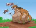1433024323.strega_coyote_and_boot_color-1