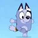 socks-heeler-bluey-dance-happy-suffle