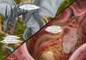 1747237632.thux-ei_are_you_fapping_in_my_belly