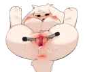 5deb2db963f0a9027cd8d24c2f48c45e