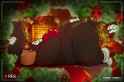 1638496771.animasanimus_happyholidays