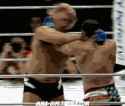 fightfightfight