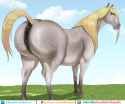 feral horse f butt standing bimboish freckled gray mare biglips lookback bigbutt