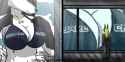 1328390440.silverfoxalpha_selmazebbyboing