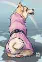 1746656368.hakudoge_panama_coat