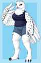 1555635394.punkrockvampire_snowyowl-c