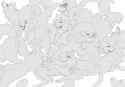 1748625300.digitoxici_digidogs2