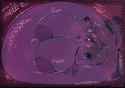 1746905901.afurreak_pulchraberry3