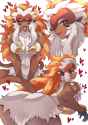 fire monkey girl