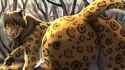 1674760419.roobin_21