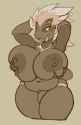 1735424831.burquina_spider_booba