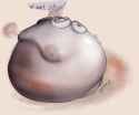 1747270642.grandaum_gasgianttoriel2
