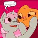 horse appraises feline
