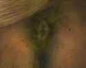 0c9f388d501078bc58453b02f14ea2fd