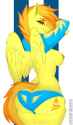 bit a spitz