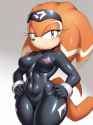 do_you_like_my_spy_outfit____by_sonicprimeinfinitus_dj5isqk